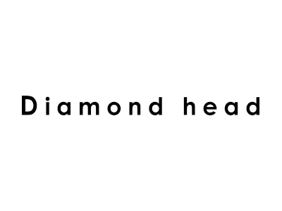 client_logo_diamondhead