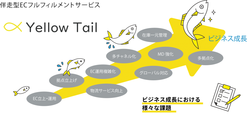 YellowTail_A4_omote1.1