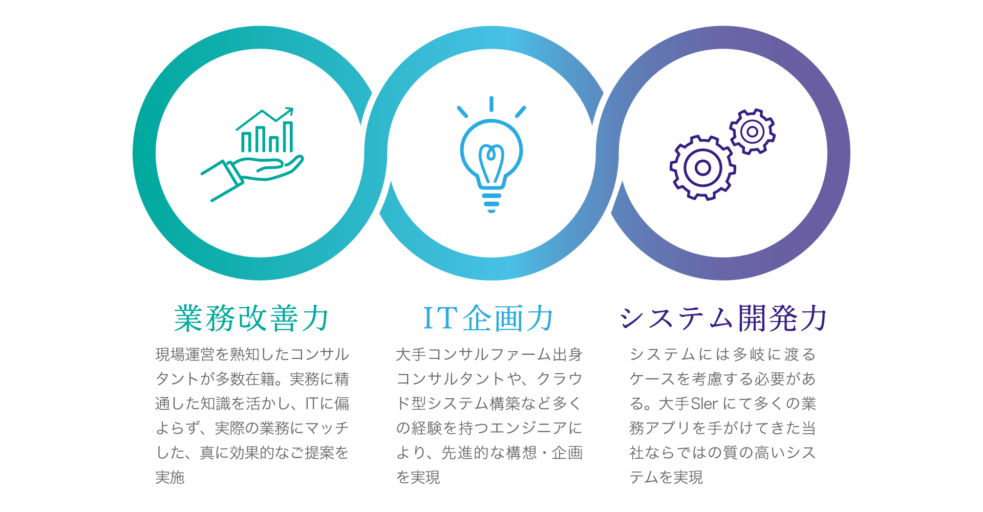tsuyomi 業務改善力、IT企画力、システム開発力